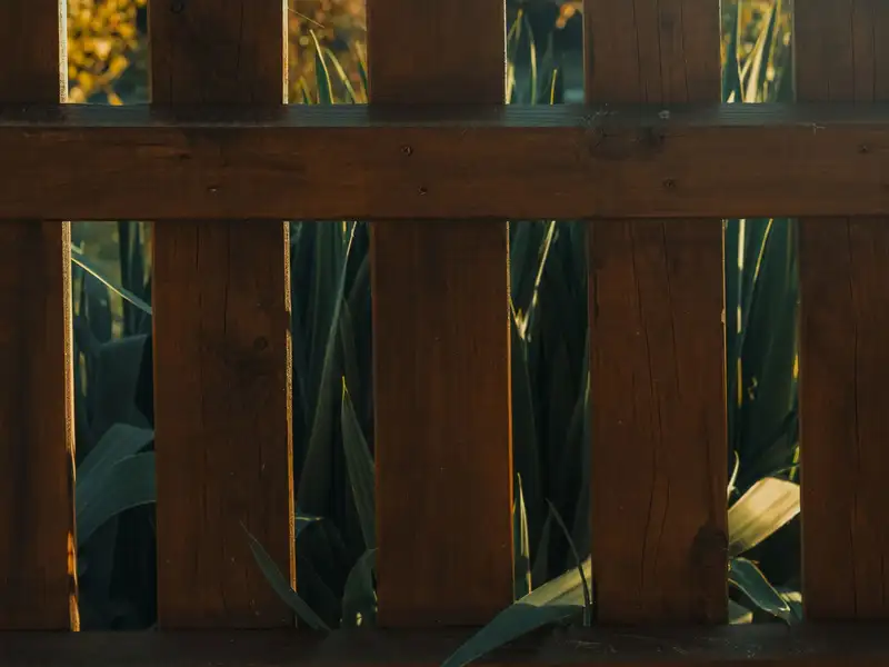 Close-up of a stained wood picket fence with rounded tops in afternoon light